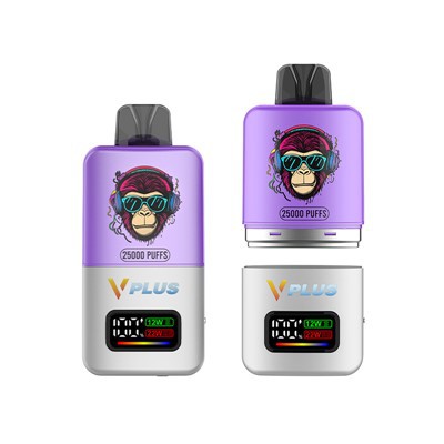 System Podjazdu Vape 25000 Puff